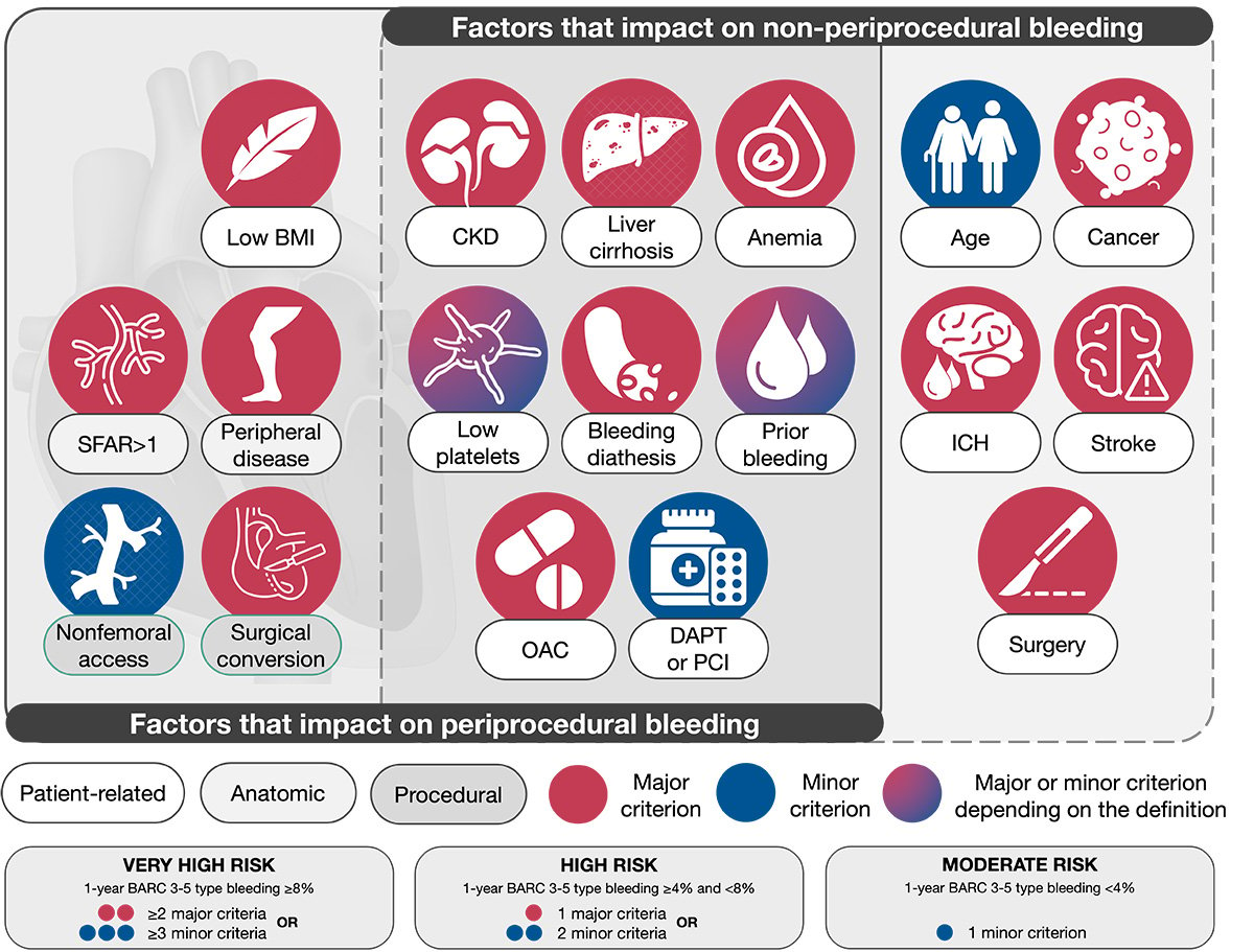 Defining high bleeding risk in patients undergoing transcatheter aortic  valve implantation: a VARC-HBR consensus document | EuroIntervention