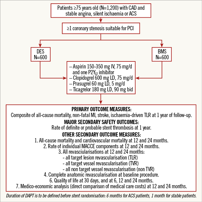 The SYNERGY II Everolimus elutiNg stent In patients Older than 75 years  undergoing coronary Revascularisation associated with a short dual  antiplatelet therapy (SENIOR) trial: rationale and design of a large-scale  randomised multicentre