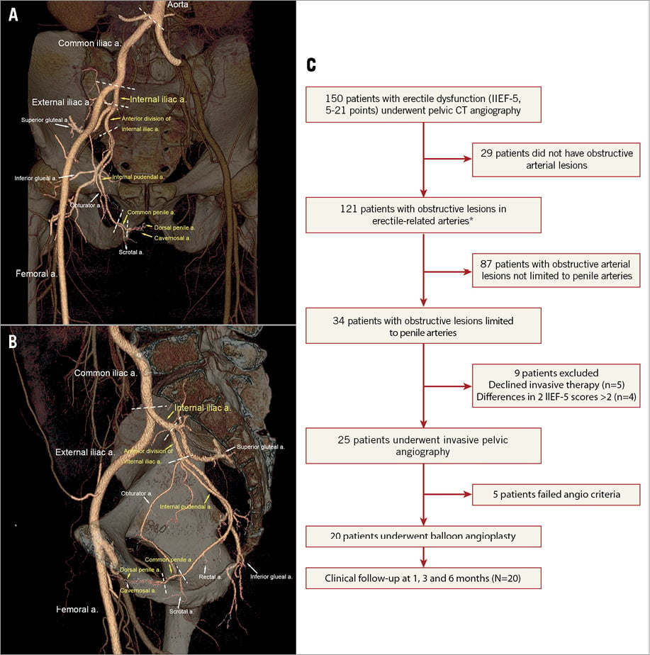 Safety and six month durability of angioplasty for isolated penile