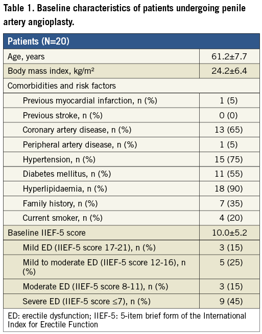 Safety and six month durability of angioplasty for isolated penile