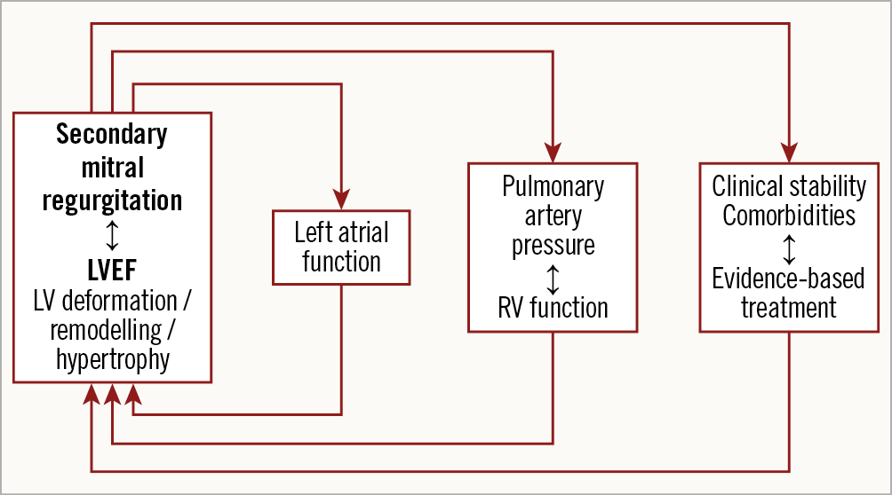 Figure 1. Multiparametric approach for patients with HF and MR.