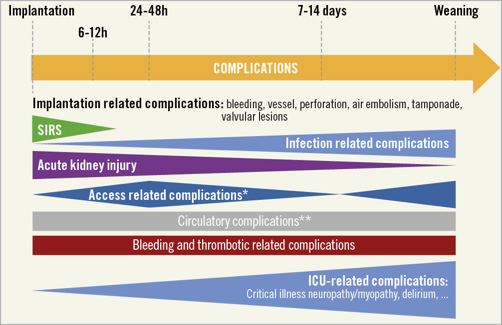 Figure 3. Complications associated with pVAD. Most frequent complications associated with pVADs depending on timepoint of implantation and weaning. *Indicates problems like bleeding, leg ischaemia, dissection or pseudoaneurysm; **Indicates problems as Harlequin-syndrome, cannula dislocation, afterload and/or preload mismatch. ICU: intensive care unit; SIRS: systemic inflammatory response syndrome