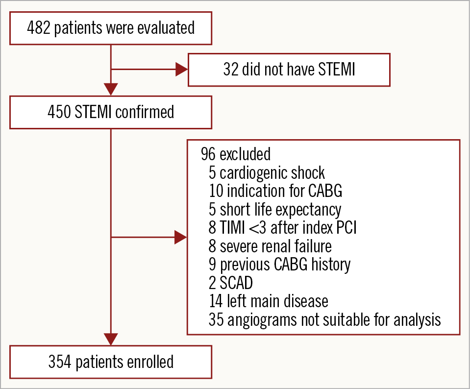 Figure 1. Study inclusion flow chart. CABG: coronary artery bypass graft; PCI: percutaneous coronary intervention; SCAD: spontaneous coronary artery dissection; STEMI: ST-segment elevation myocardial infarction
