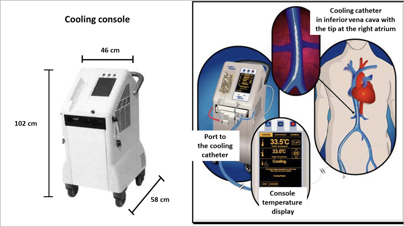 Figure 1. ZOLL Proteus intravascular cooling system.