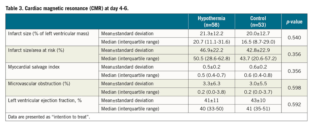 Table 3. Cardiac magnetic resonance (CMR) at day 4-6.