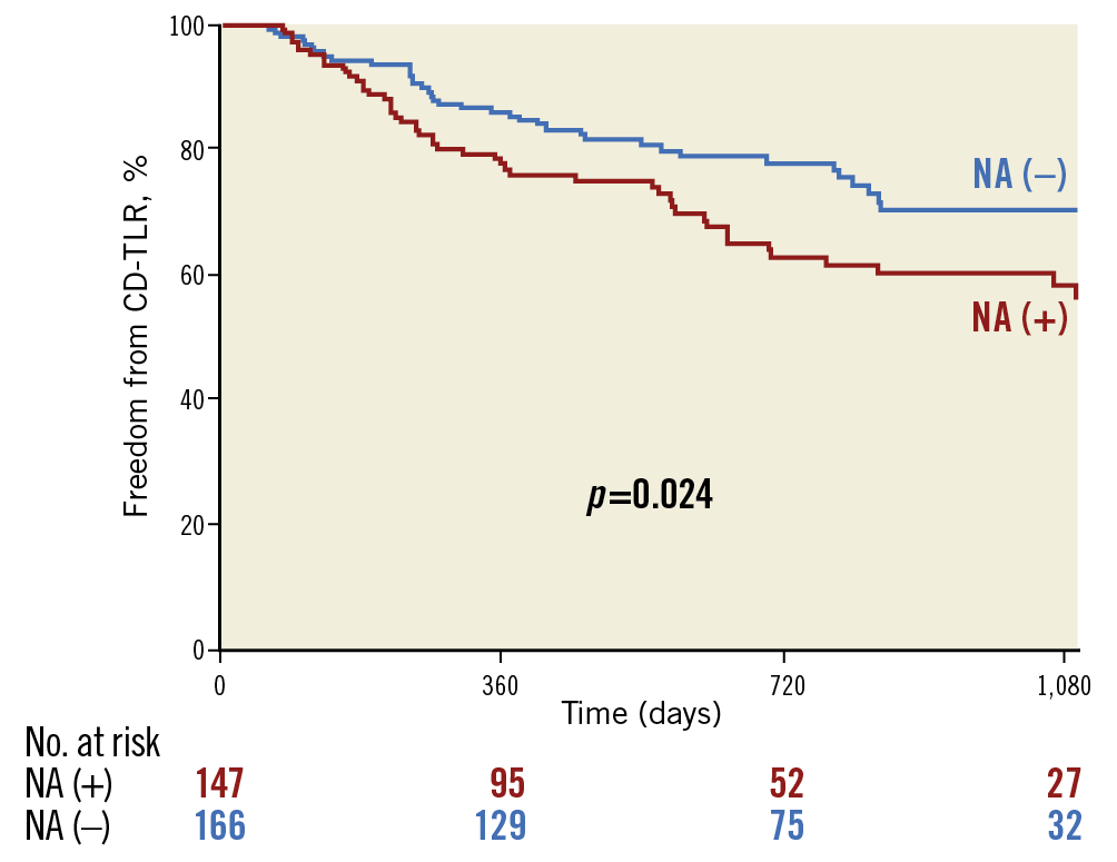 Figure 3. Kaplan-Meier analysis. The freedom from CD-TLR rate at two years was significantly lower in lesions with neoatherosclerosis than in those without (62.9% [95% CI: 54.5-72.6%] vs 77.9% [95% CI: 71.3-85.1%], p=0.024).
