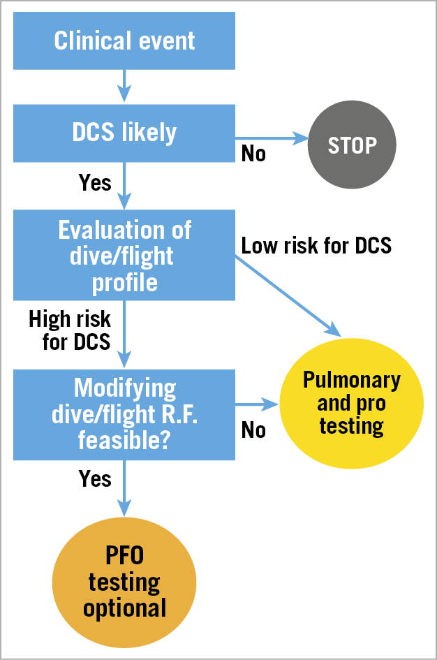 Figure 1. Flow chart depicting strategy for investigation after DCS. R.F.: risk factors