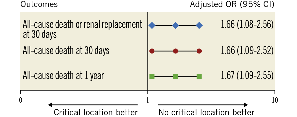 Figure 2. Early and late outcomes according to critical culprit lesion location (covariates of adjustment are detailed in Supplementary Table 1).
