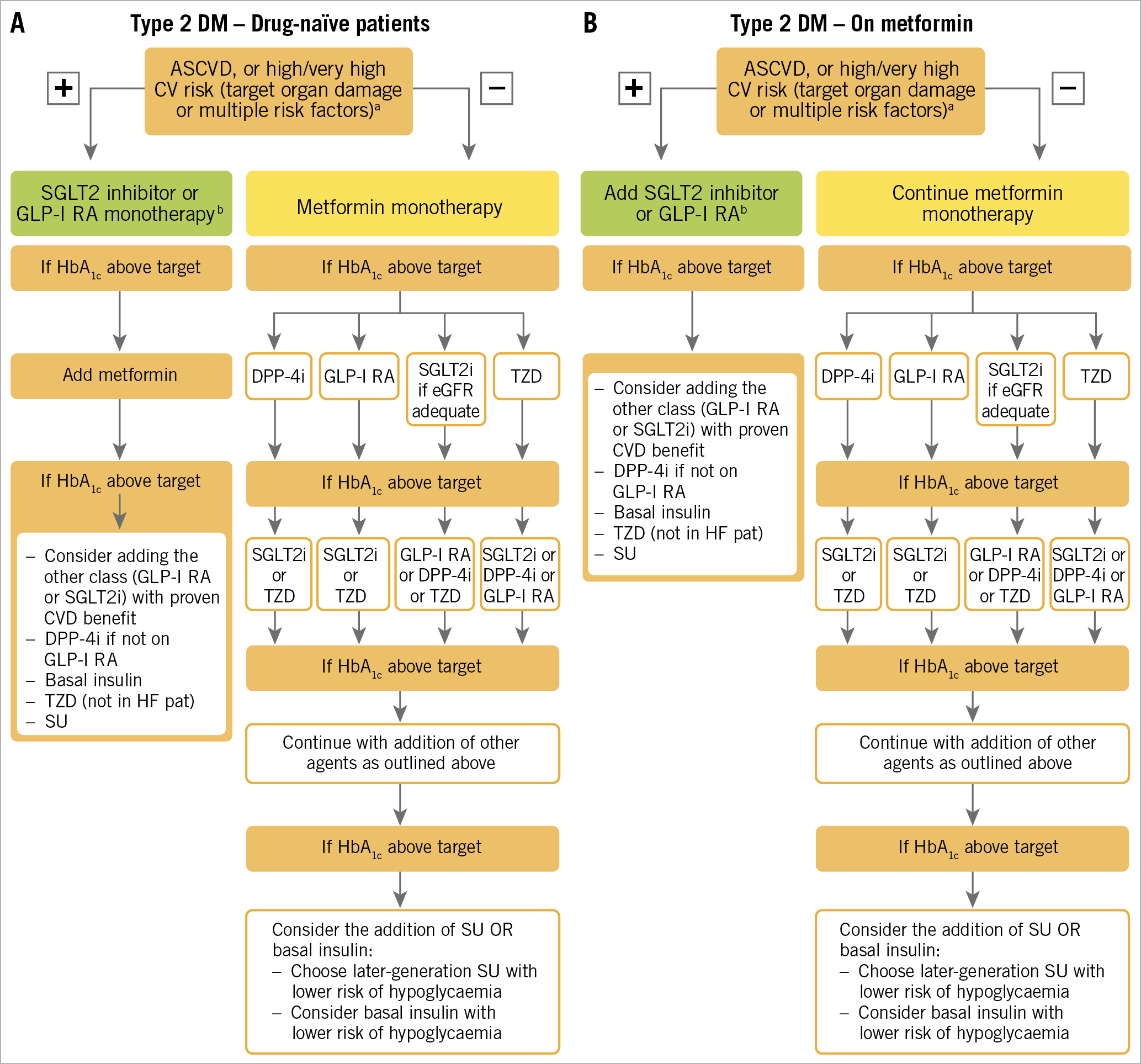 Figure 3. Treatment algorithm in patients with T2DM and ASCVD or high/very high CV risk. A) Drug-naïve patients. B) Metformin-treated patients. Treatment algorithm proposed by the 2019 ESC guidelines on CVD, pre-DM and DM, reproduced from reference 18 with permission from Oxford University Press on behalf of the European Society of Cardiology. ASCVD: atherosclerotic cardiovascular disease; CV: cardiovascular; CVD: cardiovascular disease; DPP4i: dipeptidyl peptidase-4 inhibitor; eGFR: estimated glomerular filtration rate; GLP1-RA: glucagon-like peptide-1 receptor agonist; HbA1c: haemoglobin A1c; SGLT2i: sodium-glucose co-transporter-2 inhibitor; T2DM: type 2 diabetes mellitus; TZD: thiazolidinedion