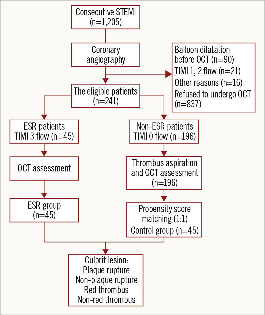 Figure 1. Study flow chart. ESR: early spontaneous reperfusion; OCT: optical coherence tomography