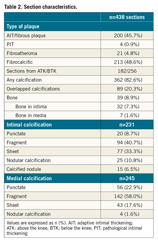 Table 2. Section characteristics.