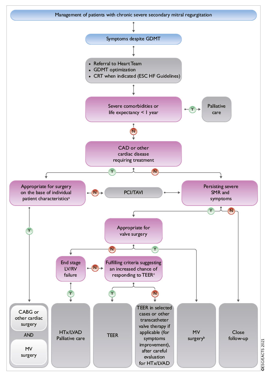 2021 ESC EACTS Guidelines For The Management Of Valvular Heart Disease 