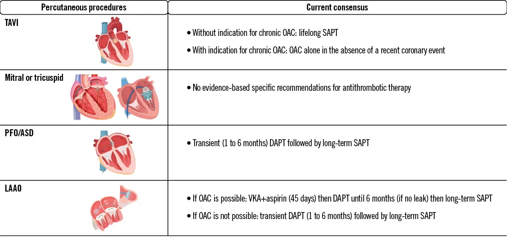 Heart Pet Scan Test: A Comprehensive Guide to Understanding and Preparing for This Essential Diagnostic Tool