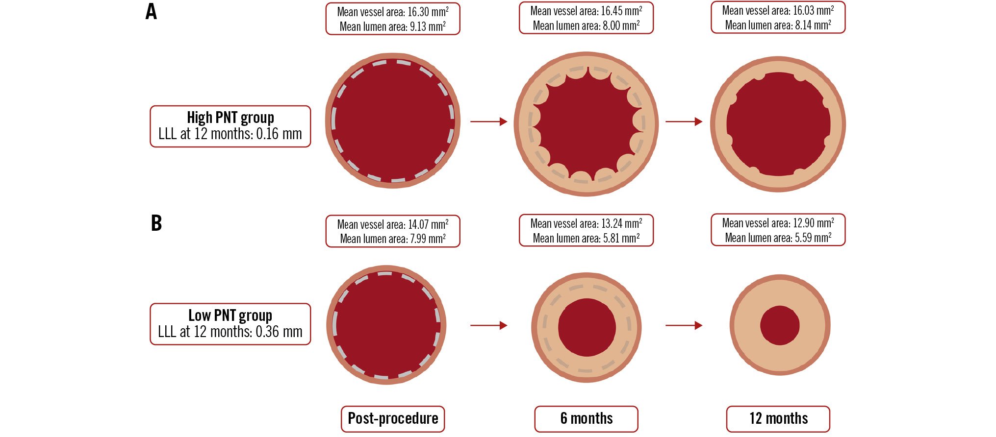 Imaging substudy of BIOMAG-I