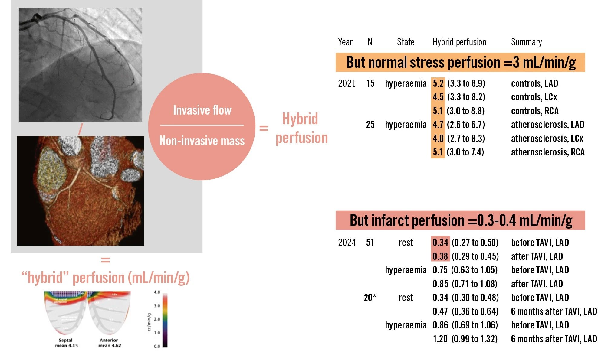 Hybrid perfusion quantification