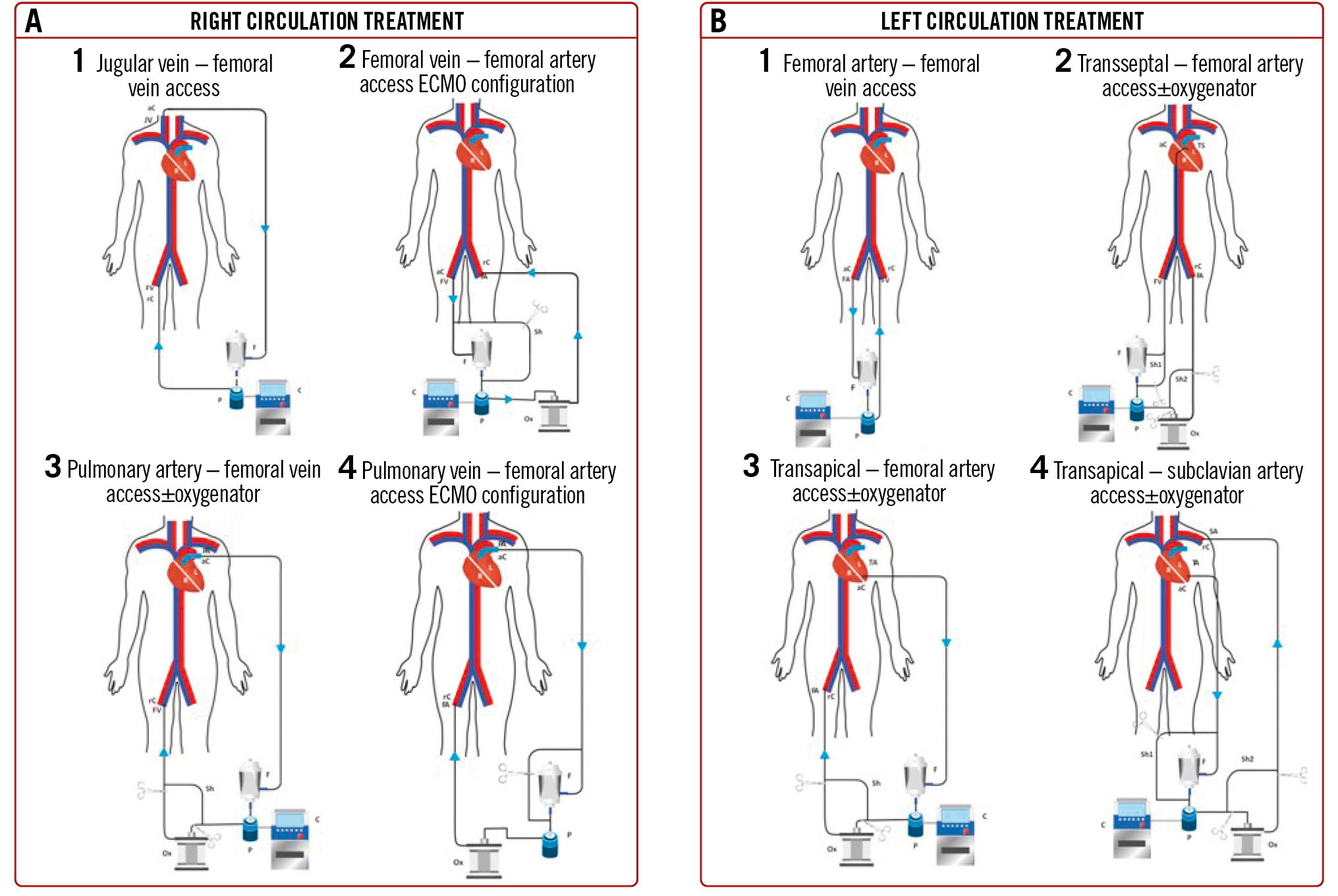 Minimally invasive management of cardiovascular masses