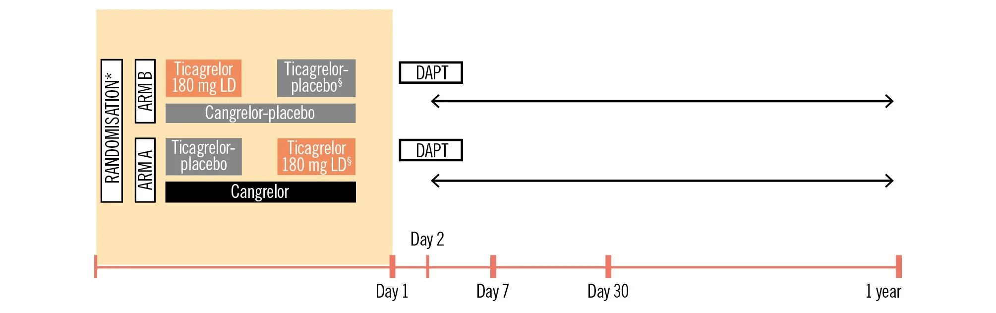 DAPT-SHOCK-AMI trial