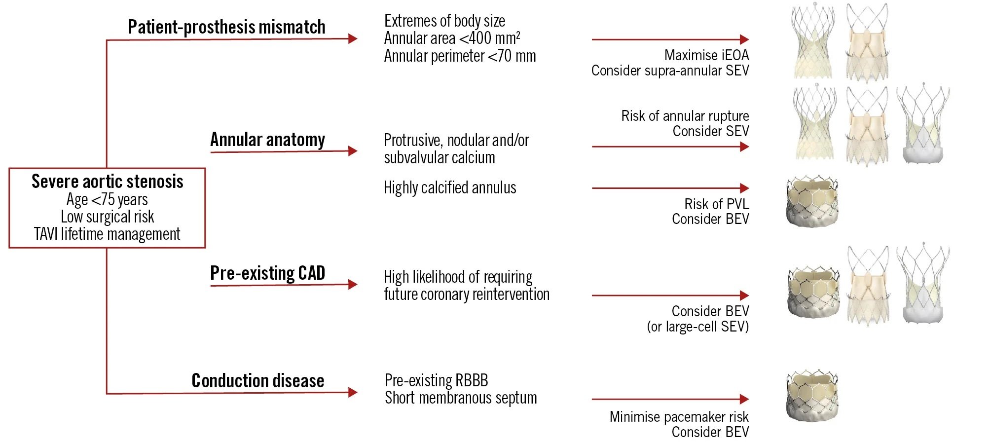 Lifetime management of TAVI