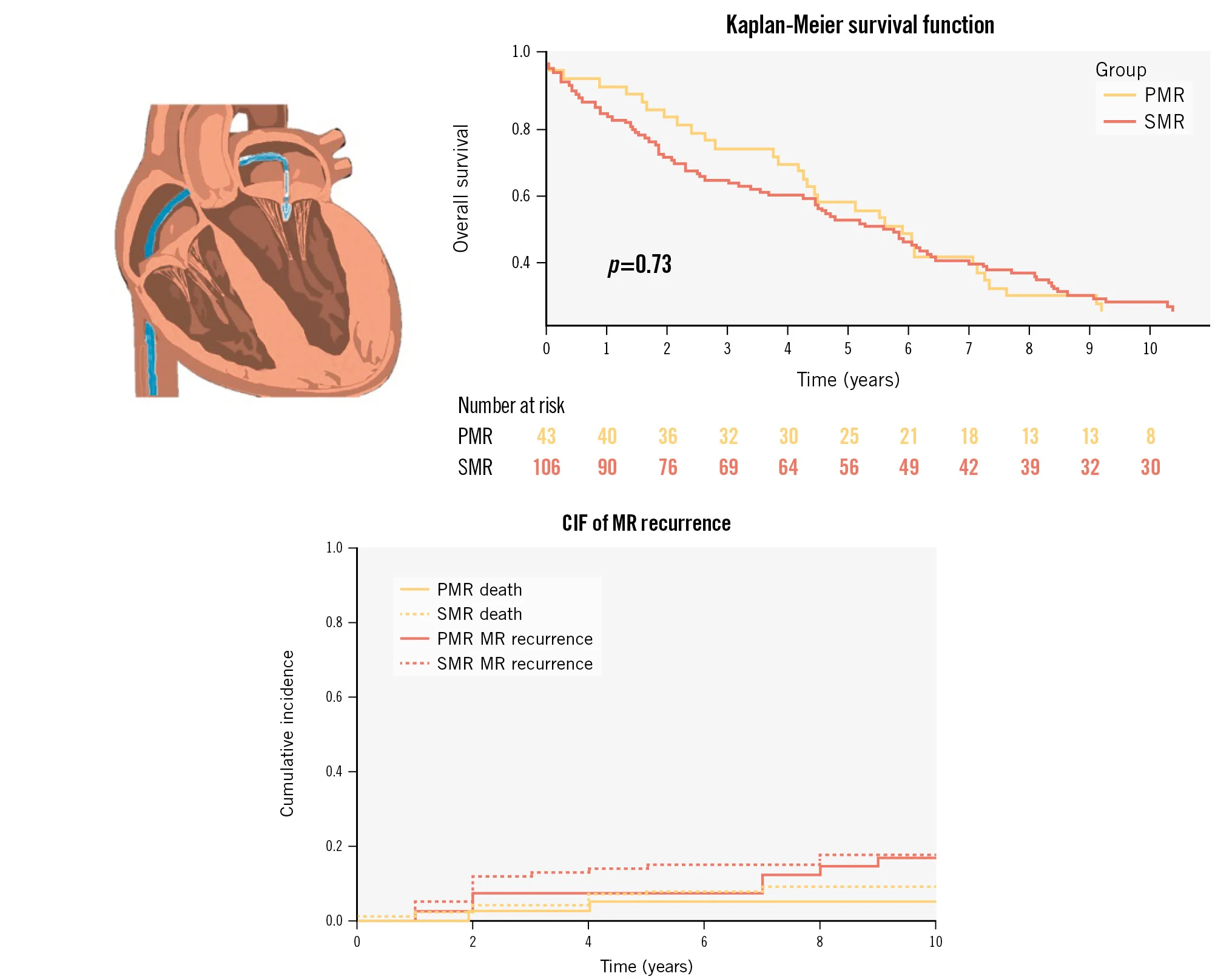 10-year outcomes with mitral TEER