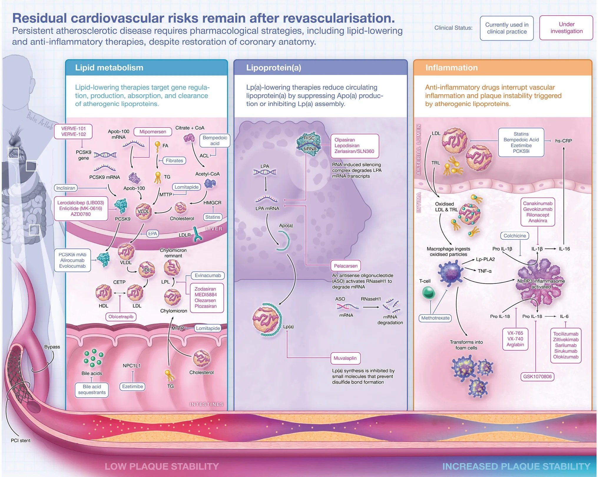 Adjunctive pharmacological strategies for residual risk