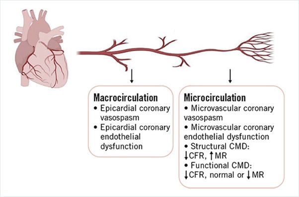 A new issue of EuroIntervention