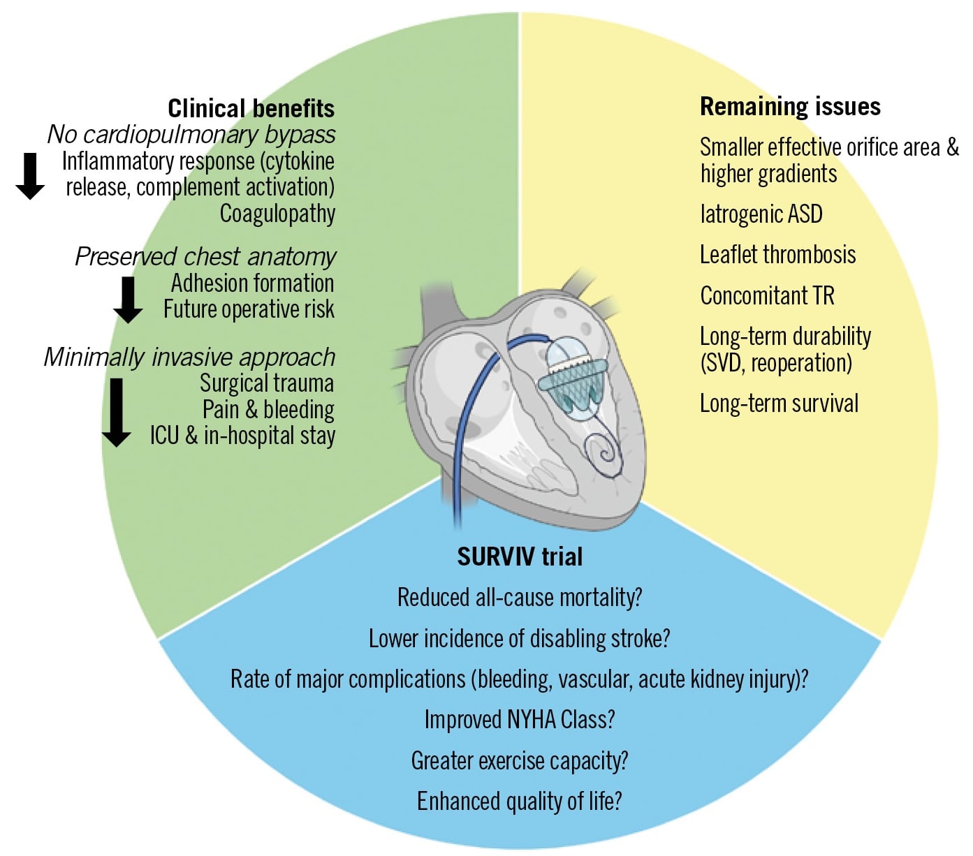 mViV vs rMVR for BVD: the SURVIV trial