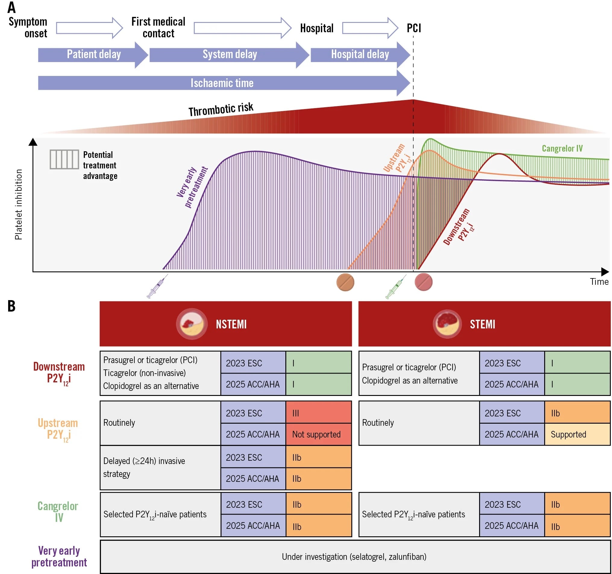 Antiplatelet pretreatment in coronary disease