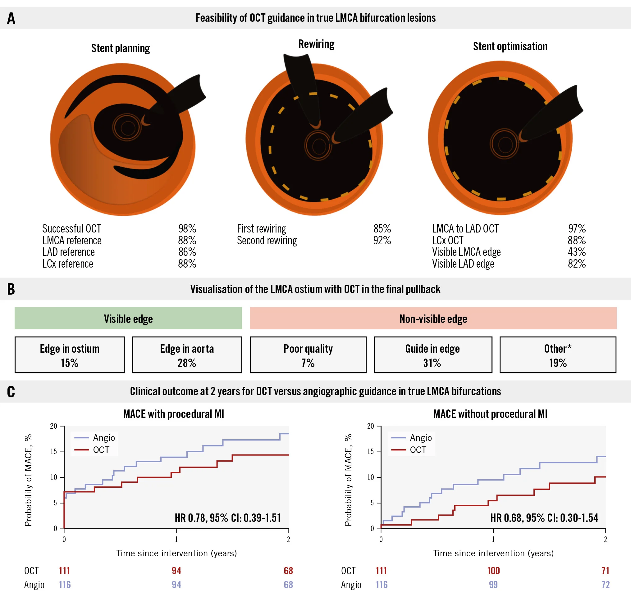 OCT vs angio in true LMCA bifurcation lesions: an OCTOBER substudy