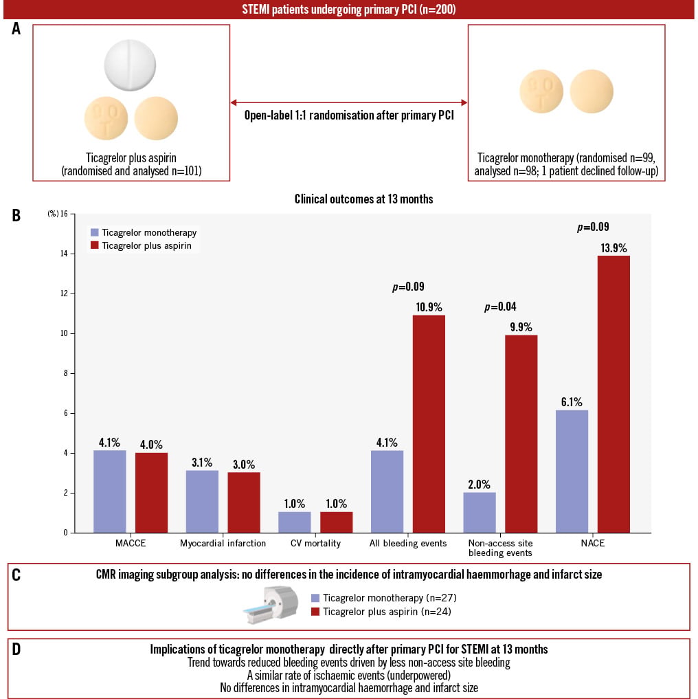 Ticagrelor monotherapy in STEMI